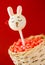 Rabbit cake pops on red background.