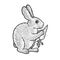 Rabbit with carrot sketch vector illustration