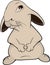 Rabbit cartoon