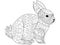Rabbit Coloring vector for adults