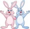 Rabbit couple waving hand