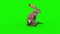 Rabbit Die Front Green Screen 3D Rendering Animation