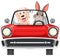 Rabbit and dog in classic red car on white background