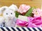 Rabbit doll and gift box easters day decoration