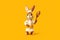 rabbit dressed as a chef over orange background.