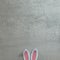 Rabbit ears on a gray concrete background. Text space. Top view. Flat lay. Easter, holiday