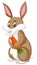 A rabbit eating carrot