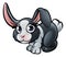 Rabbit Farm Animals Cartoon Character