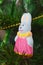 Rabbit figurine on the Christmas tree, new year gift, ceramic hand-painted toy