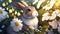 Rabbit on garden flower showcases an adorable bunny amidst colorful blooms, evoking a sense of nature and whimsy