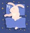 Rabbit, hare, is serenely sound asleep on pillow, covered with blanket and dreams. Easter eve. Festive childrens vector