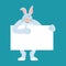 Rabbit holding banner blank. Hare and white blank. Animal thumb