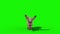 Rabbit Jumpcycle Fast Front Green Screen 3D Rendering Animation