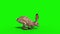 Rabbit Jumpcycle Fast Side Green Screen 3D Rendering Animation