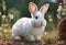 a rabbit looking at something in the air with some grass