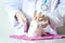 Rabbit needs veterinary care, sick and injured bunny pet has check-up at a vet clinic, hand of doctor wearing gloves gently doctor