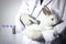 Rabbit needs veterinary care  white bunny pet with doctor hand holding stethoscope at a vet clinic