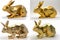 The rabbit, one of 12 chinese zodiac animal, in waiting 4 poses with serious face as a low polygon gold model on white background.