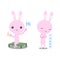 Rabbit pink Hi and Thankyou