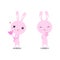 Rabbit pink Love and Miniheart