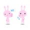 Rabbit pink No and OK