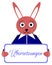 Rabbit with placard, translations, German word, isolated.