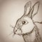 Rabbit portrait forest hand drawing vintage