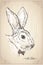 Rabbit portrait hand drawn vector illustration