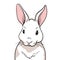 Rabbit portrait isolated. Hand drawn style design illustrations