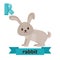 Rabbit. R letter. Cute children animal alphabet in vector. Funny