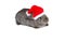 Rabbit in red cap of Santy