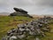 Rabbit Rock and Irishman`s Wall next to Belstone Tor set under a grey sky, Dartmoor National Park, Devon