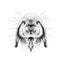 The rabbit`s head full face symmetrical, sketch vector