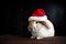 Rabbit in a Santa hat is waiting for the holiday of the new year and Christmas