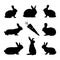 Rabbit Silhouettes And Carrot - Black Vector Illustration Set - Isolated On White Background