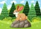 A rabbit sitting on rocks in a forest clearing