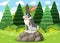 A rabbit sitting on rocks among trees