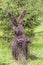 Rabbit statue made by kids