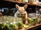 Rabbit struggles with pickle jar