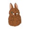 Rabbit is surprised and excited, sweat beads appeared on his face, eyes are rounded, mouth is open. The hare lies on its back