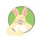 Rabbit thumbs up and winks. Hare happy emoji. Animal Vector illustration