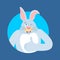 Rabbit thumbs up and winks. Hare happy emoji. Animal Vector illustration