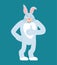 Rabbit thumbs up and winks. Hare happy emoji. Animal Vector illustration