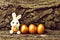 Rabbit toy, golden easter eggs on tree bark background