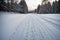 Rabbit tracks in freshly fallen snow