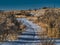 Rabbit Tracks on the Snowy Trail