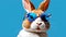 rabbit. transparent sunglasses, plain blue background, AI generated