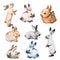 Rabbit Watercolor Set Flat Illustration. Isolated Colorful Cute Baby Bunny Collection. Pretty Little Hare Character