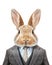 rabbit wearing suit and tie. Isolated on transparent background, no background, cutout.