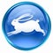 Rabbit Zodiac icon blue